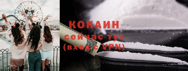 соль ск Алзамай