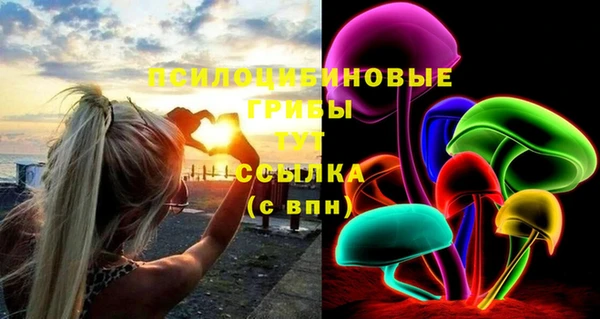 соль ск Алзамай