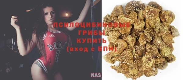 соль ск Алзамай