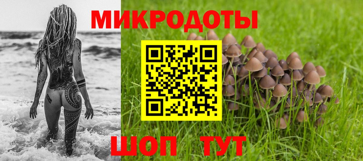 что такое   Галлюциногенные грибы Psilocybe  Вход с VPN  Кимры 